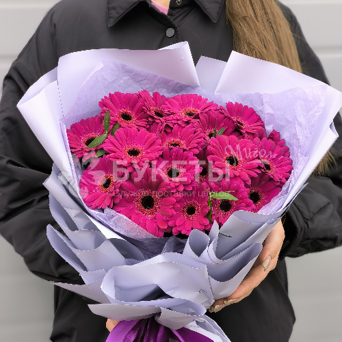 Букет из 19 фиолетовых гербер Premium