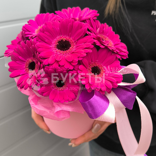 11 фиолетовых гербер в шляпной коробке