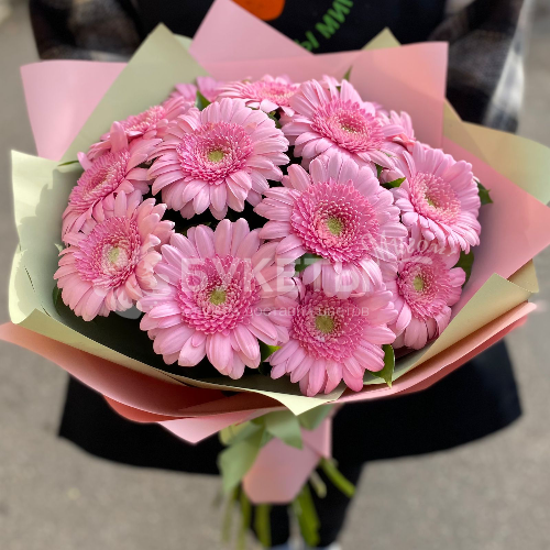 Букет из 15 розовых гербер