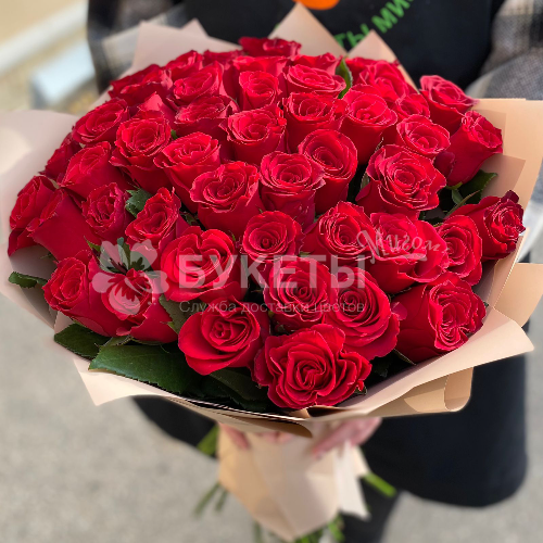 Букет из 51 красной розы "Родос"