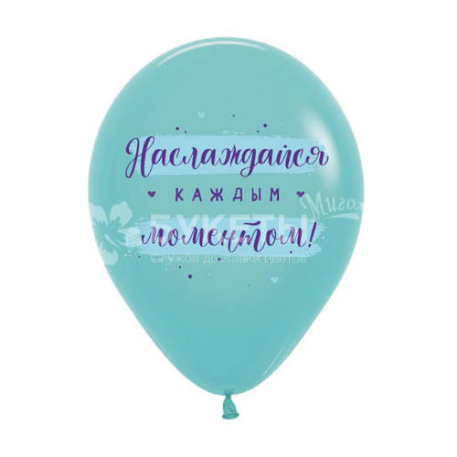 Шары "С Днем Рождения, мечты должны сбываться" 612237-25